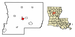 Location of Winnfield in Winn Parish, Louisiana.