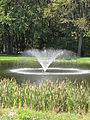 Fountain and pond at Wolfe Park