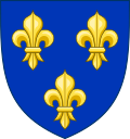 Royal arms of France, three gold fleurs-de-lis on a blue background