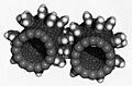 Image 5Computer simulation of nanogears made of fullerene molecules. It is hoped that advances in nanoscience will lead to machines working on the molecular scale. (from Condensed matter physics)