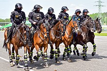 Six mounted police officers at police day in Sosnová