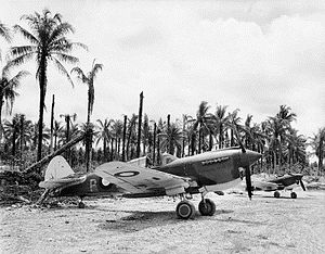 Kittyhawk fighters parked on a landing ground with palm trees in the background