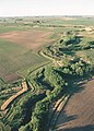 Image 79A riparian buffer bordering a river in Iowa (from Agroforestry)
