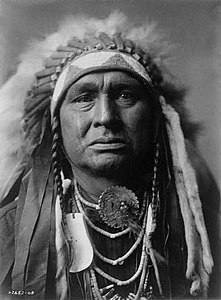 White Man Runs Him, c. 1908. Crow scout serving with George Armstrong Custer's 1876 expeditions against the Sioux and Northern Cheyenne that culminated in the Battle of the Little Bighorn.