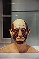 The "muscle stage" of the reconstruction of the face of Richard III