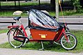 Cargo bike for transporting children in Eindhoven, Netherlands