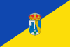 A two color flag, divided equally in two, with the top left side blue and de bottom right yellow. The coat of arms is on the middle.