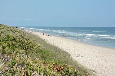 Looking north on the southern part of the seashore