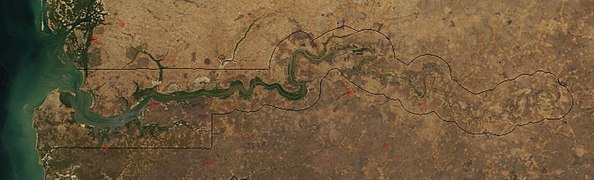 The western portion of the Gambia River, seen from space. The line shows the border of The Gambia.