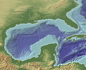 Golf von Mexiko (Relief. Nord = links oben)