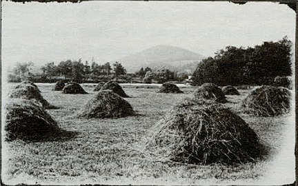 Haycocks with Haystack Mountain