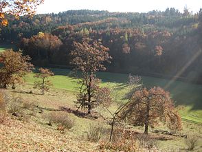 Das Röglinger Tal bei Liederberg