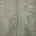Pages from the RBGE Accessions Book (1902) listing U. montana fastigiata glabra