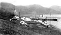 Whaling station along the harbor at Akutan ca. 1915