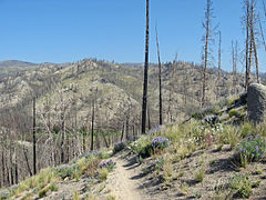 Fisher Creek Trail