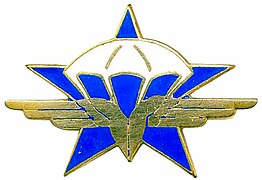 Insignia of 1e Régiment de Chasseurs Parachutistes