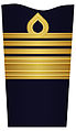 Sleeve insignia for a general in the Amphibious Corps (2003–present)