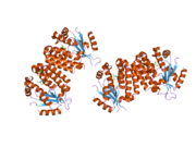 2a30: Crystal structure of human deoxycytidine kinase in complex with deoxycytidine
