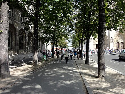 2012: The north side of the square has a walking path lined with horse chestnut trees.