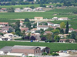 A general view of Saint-Laurent-des-Vignes