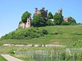 Schloss Ortenberg, May 2008