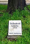 Schubertlinde - Gedenktafel