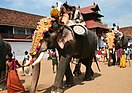 Caparisoned elephants at Sree Poornathrayesa temple festival Thrippunithura in Kerala, south India.