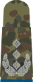 Aufschiebeschlaufen mit hellgrauen Em­blemen auf 5-Far­ben-Flecktarn für Heeresuniformträger (hier: Oberst Heeres­logistiktruppe)