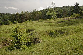 Dolinenfeld über verkarstetem Weißjura der Schwäbischen Alb. Stellen im Umfeld weisen Vulkantuff des Schwäbischen Vulkans „Sternberg (Schwäbische Alb)“ auf
