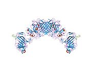 2i9b: Crystal structure of ATF-urokinase receptor complex