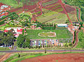 Aerial view of the Dole Food Company pineapple maze, the largest maze in the world.
