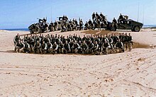 Soldiers training in desert