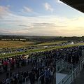 Epsom Downs, a racecourse which hosts The Derby annually. One of four in the county.