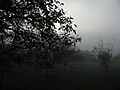 Fog in western France