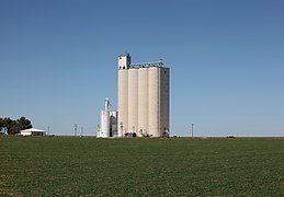 Grain elevator in northwestern Parmer County