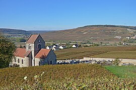 The church and vineyards in Courthiézy