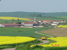 A general view of Athienville