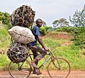 Nutzung als Transportmittel, Lieferung von Holzkohle (Uganda)