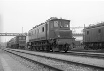 Mehrere Altbaulokomotiven der SBB. In der Mitte die Ae 4/7 11000 dahinter Ae 8/14 Nr. 11801