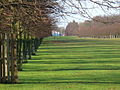 Lime Avenue looking towards White Lodge