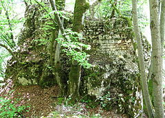 Bild 2: Die Nordwestseite der Burgstelle mit Resten der Frontmauer oberhalb des Halsgrabens