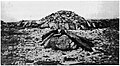 Tichitt Tradition drystone tumulus