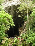 Nationalpark Cueva del Guácharo