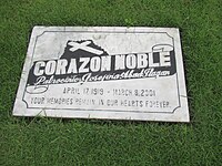 Corazon Noble
