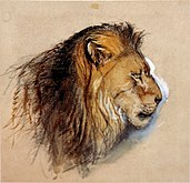 Lion's profile