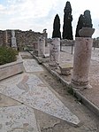 Mosaik in einem römischen Ausgrabungsgelände in Karthago (Roman Villas)