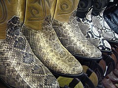 Snakeskin boots in Arizona