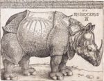 The Rhinoceros; by Albrecht Dürer; 1515; woodcut; 23.5 × 29.8 cm; National Gallery of Art (Washington, D.C., US)