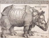 The Rhinoceros; by Albrecht Dürer; 1515; woodcut; 23.5 cm × 29.8 cm; National Gallery of Art (Washington, D.C.)