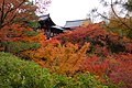 Maple trees in autumn foliage around Tsūten-kyō